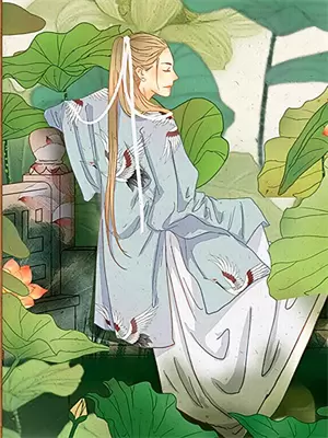 不见曦月